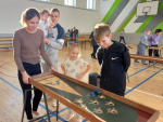 Фестиваль по спортивным настольным играм мира
