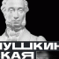 Погрузитесь в мир искусства вместе с Пушкинской картой - Комитет культуры, спорта и архивного дела
