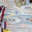 Состоялся турнир по игре бочча - Комитет культуры, спорта и архивного дела